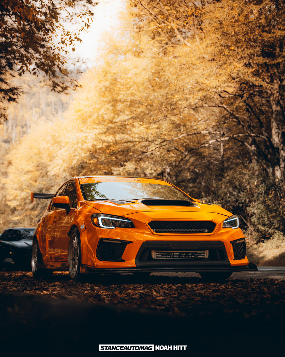 Wrap project 8